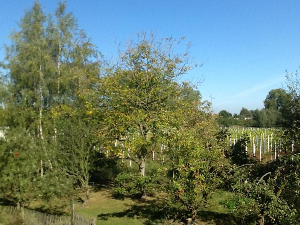 Hof Van Loverrijk Bed & Breakfast Lier Bagian luar foto