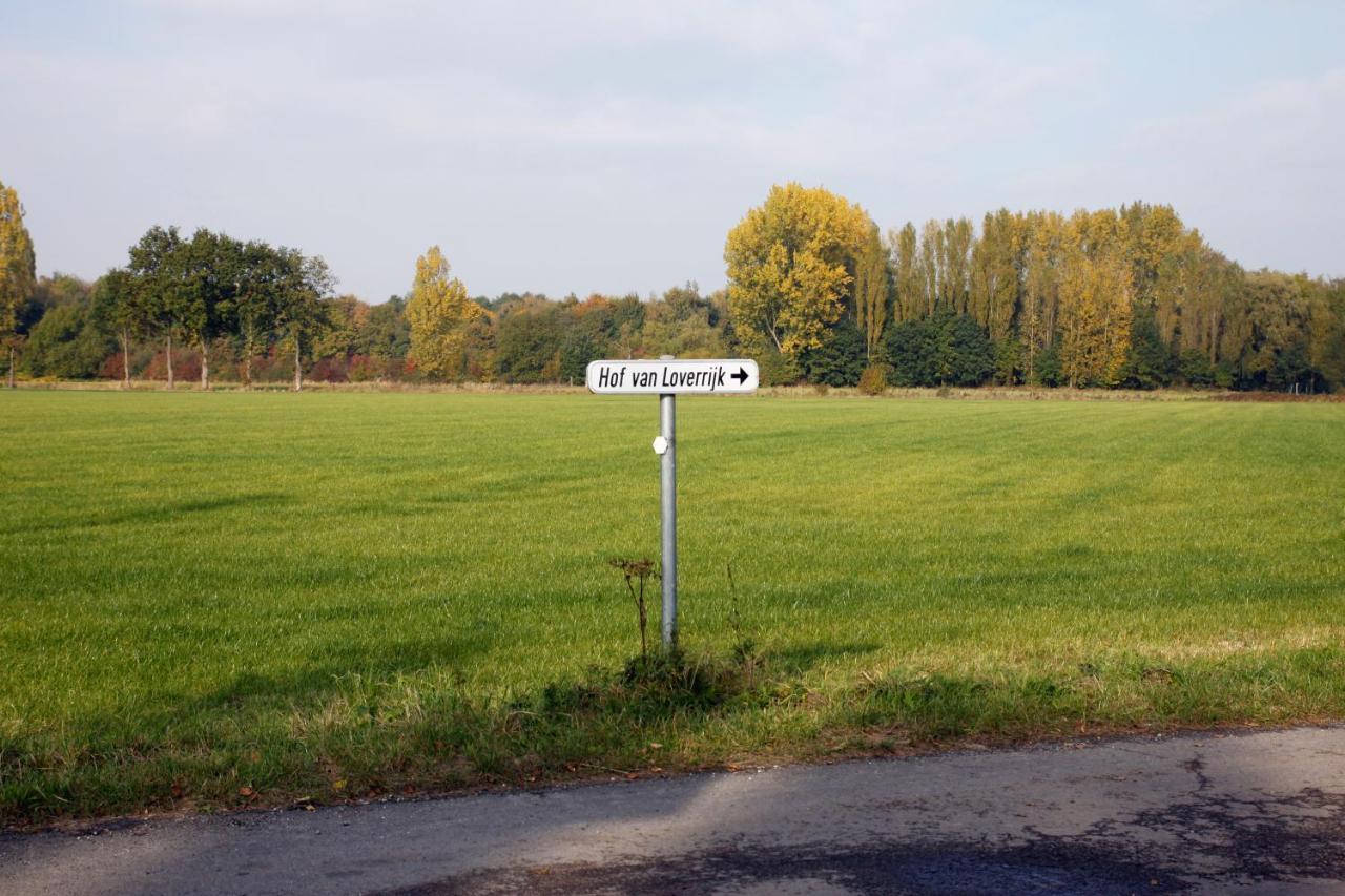 Hof Van Loverrijk Bed & Breakfast Lier Bagian luar foto